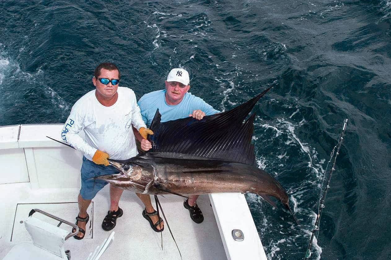 sailfish catch and release fishing Costa Rica