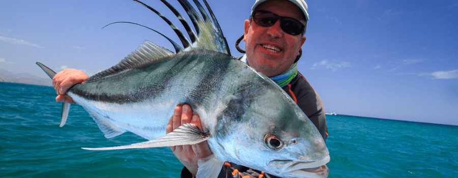 Roosterfish fishing Costa Rica