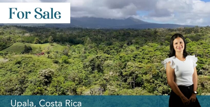 Incomparable 700+ Acres: Primary Rainforest + Eco-Friendly Investment Opportunities + Personal Paradise!