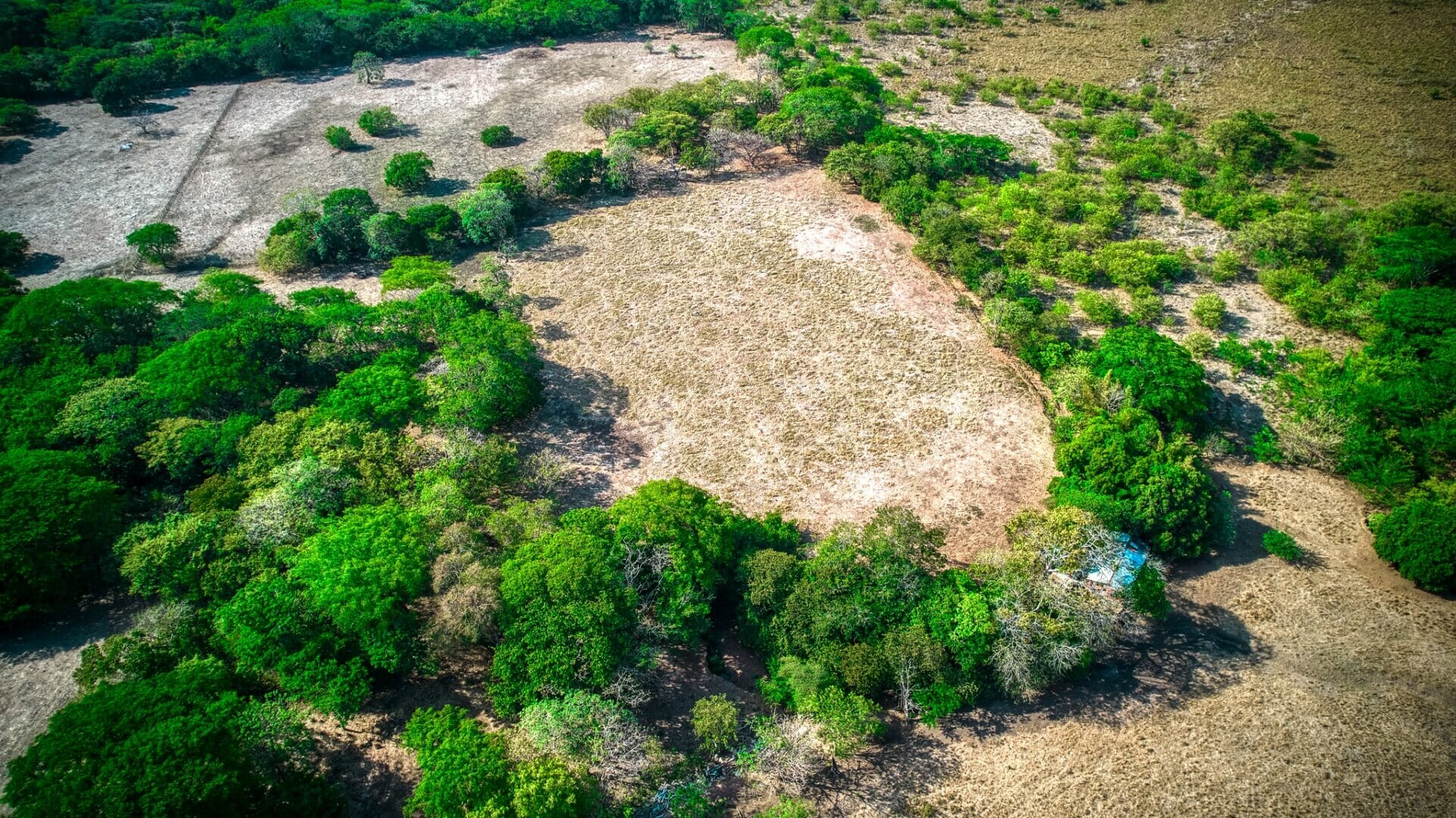 5+ Acres of Paradise in Huacas, Minutes to Guanacaste Beaches & Amenities
