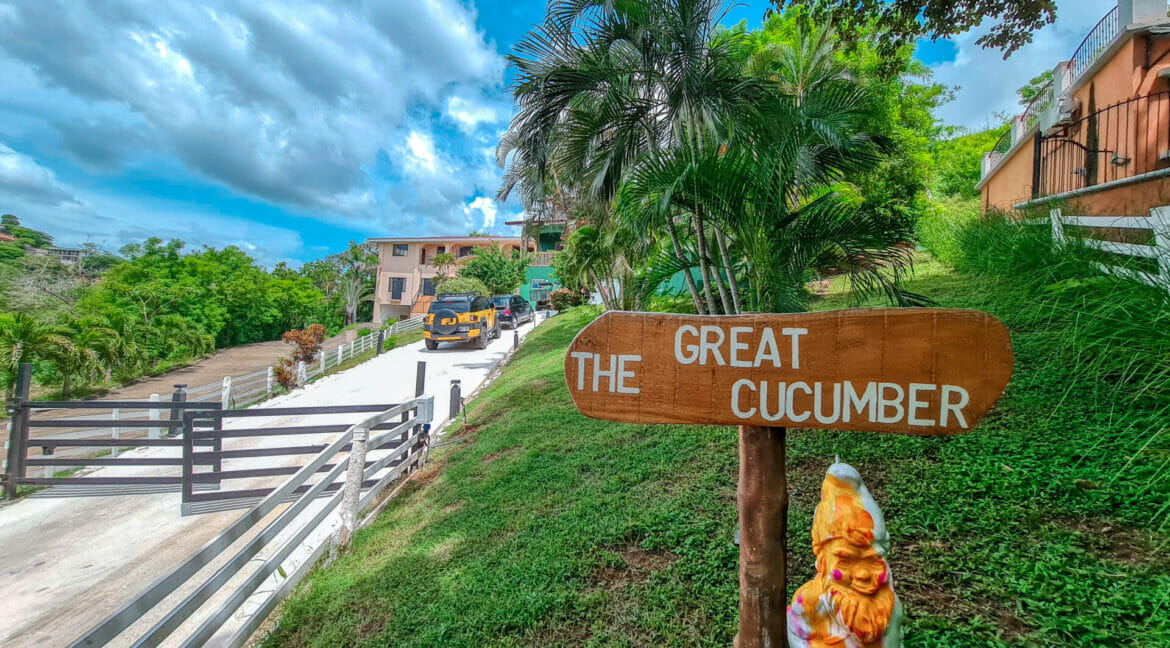 THE GREAT CUCUMBER HOUSE FOR SALE IN PLAYAS DEL COCO, AMAZING OCEAN VIEW JUST STEPS FROM ALL THE AMENITIES OF COCO (26)