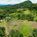 main photo agricultural land in Costa Rica