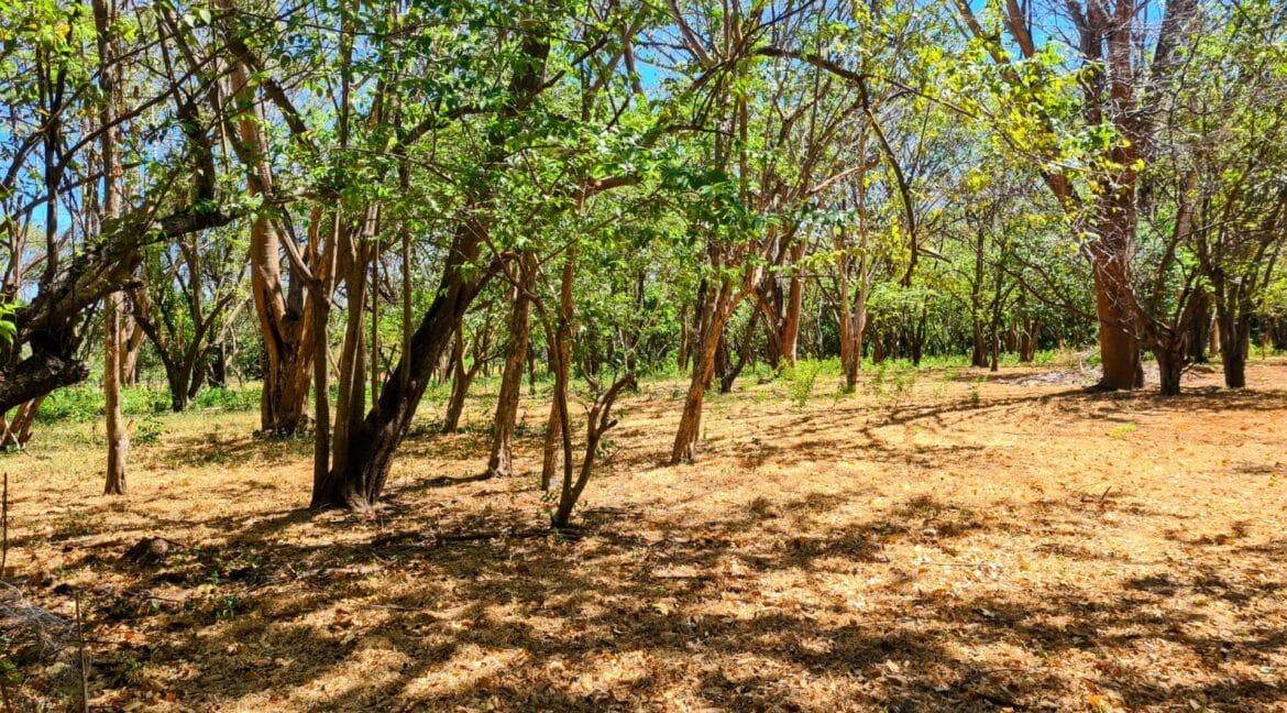 Land Lot For Sale Acres In Properties Of Costa Rica