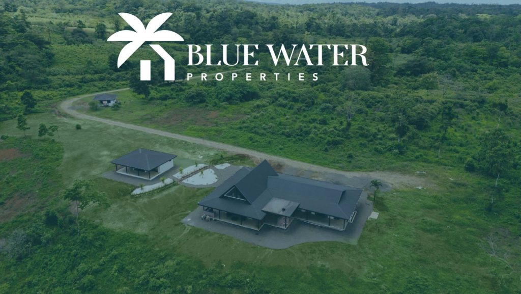 Aerial view of properties in nature.